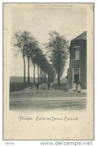 Pâturages - L'Allée Des Larrons, L'Astoquie - 1901  ( Verso ) - Colfontaine