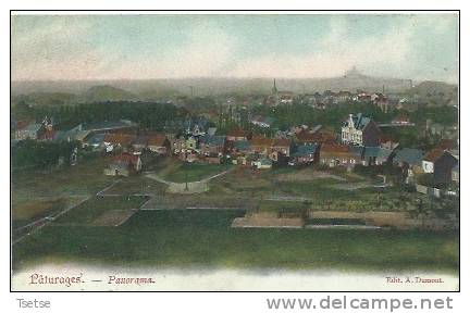 Pâturages - Jolie Panorama Couleur .... De La Commune - 1907  ( Verso ) - Colfontaine