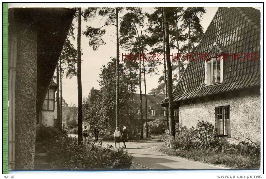 EV. WALDKRANKENHAUS BERLIN-SPANDAU Um 1960/1970, Verlag:  Krueger, Berlin, POSTKARTE ,  Ohne Frankatur, - Spandau