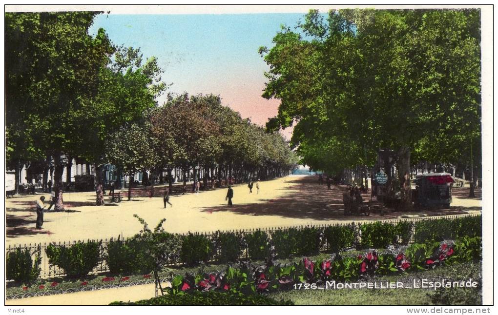 34  MONTPELLIER  L'ESPLANADE - Montpellier