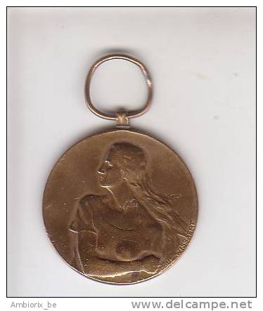 Resistere - 1940-1945 - Médaille Sans Ruban - Profesionales / De Sociedad
