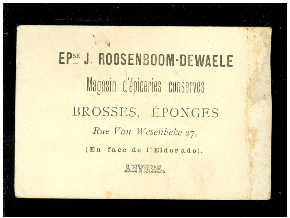Chromo ( 3540 )  J.Roosenboom - Dewaele  Magasin Brosses éponges Anvers Antwerpen - Timbre Postzegel Belgique - Altri & Non Classificati