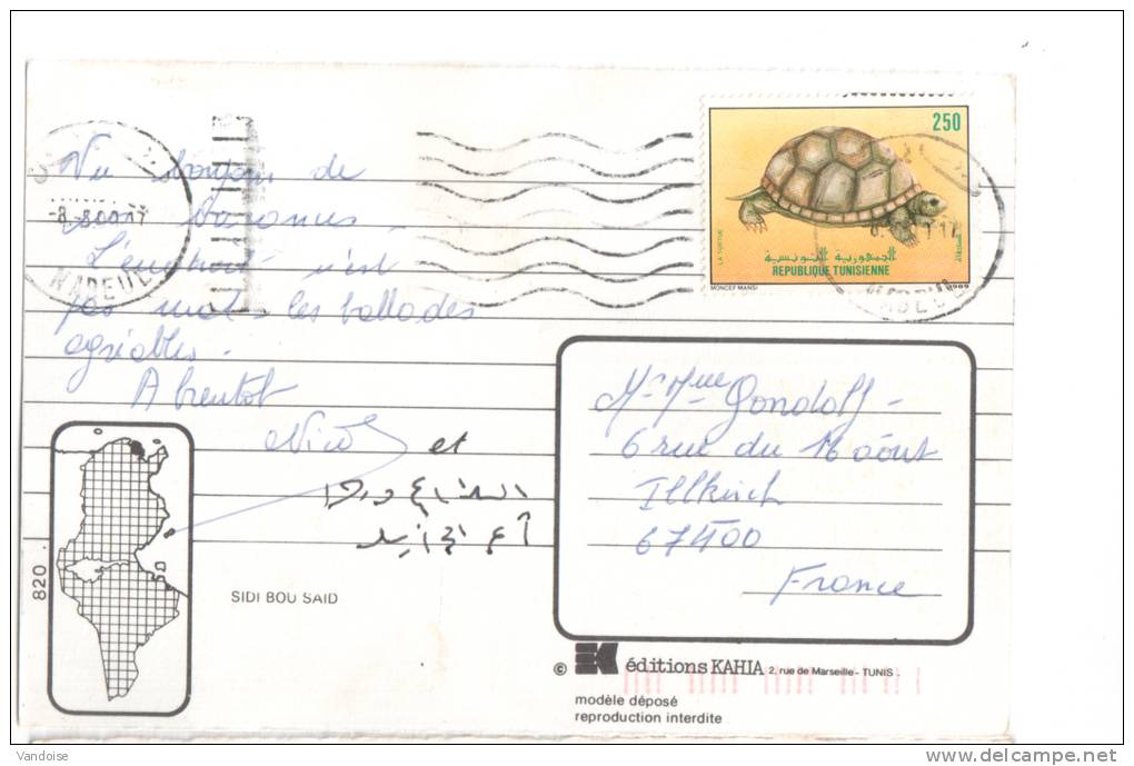 CARTE POSTALE DE TUNISIE AVEC TIMBRE TORTUE - Schildpadden