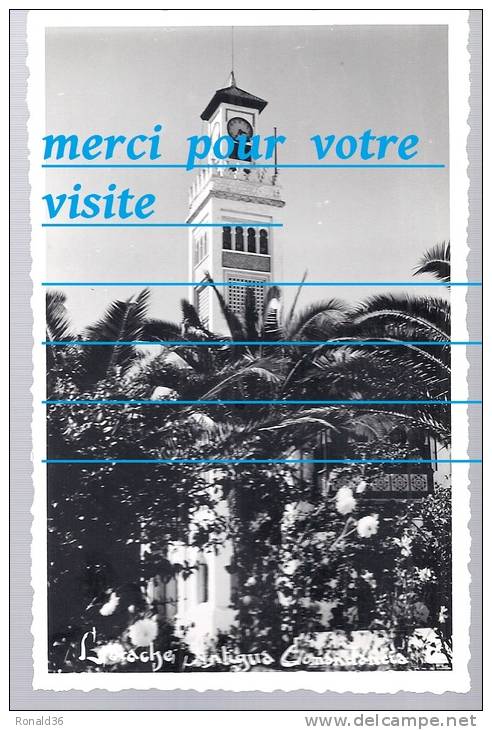 Cpp Amérique ANTIGUA L'arache L'omandancia ( Place Palmiers église ? Tour Habitation ) - Antigua Und Barbuda