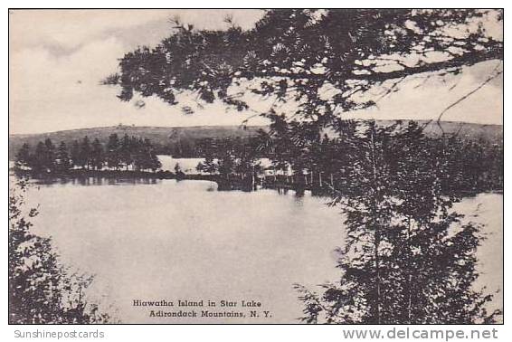 New York Adirondack Mountains Hiawatha Island In Star Lake Albertype - Adirondack