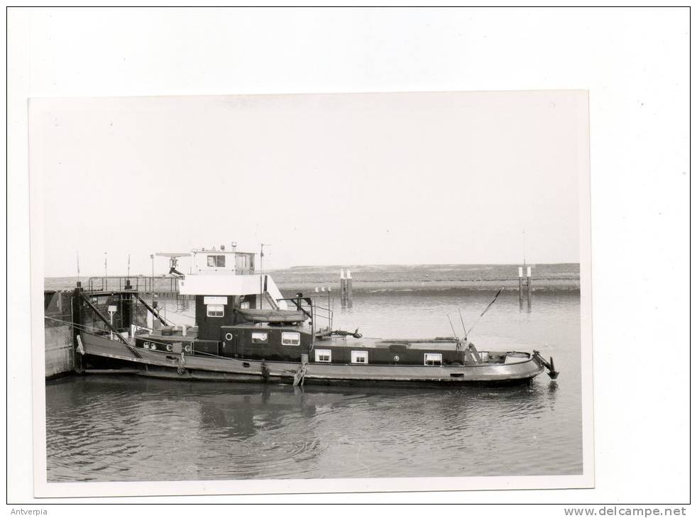 Sleper-duwboot  MAR MAR 1981 Opgelet Echte Foto Geen Kaart Afm. 15 Op 10 - Handel