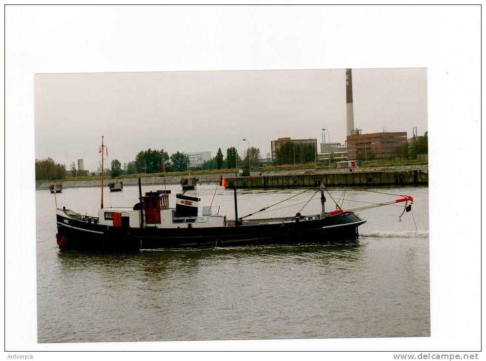 BAGGER MARC Opgelet Echte Foto Geen Kaart Afm. 15 Op 10 - Commerce