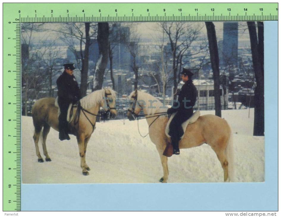 Montréal ( Les Policiers à Cheval De La Montagne Du Mont Royal) 2 Scan Carte Postale Post Card - Montreal