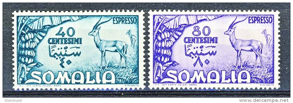 Somalia AFIS 1950 Espressi SS. 61 N. E1-E2 MNH Cat. € 60 - Somalie (AFIS)