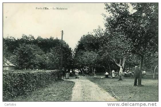 76 Forêt D'EU  La Madeleine - Eu