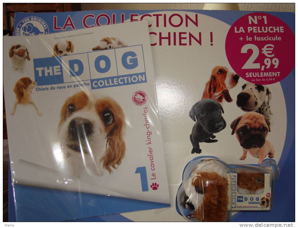 Collection N°1  THE Dog  Collection Chiots De Race En Peluche Le Cavalier  KING CHARLES - Andere & Zonder Classificatie