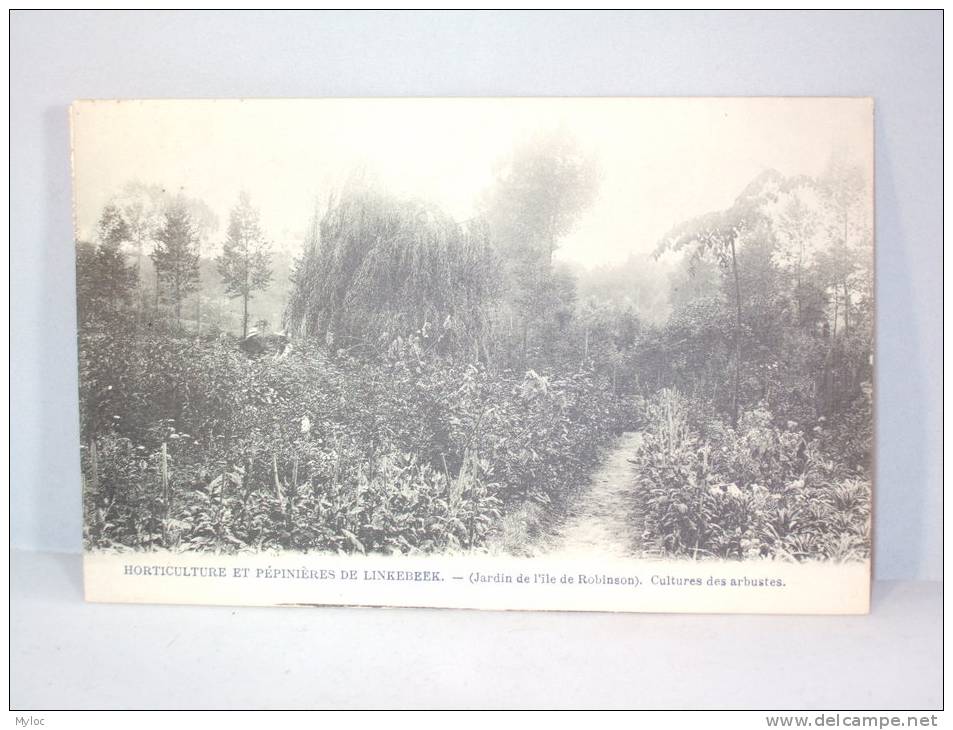 Linkebeek. Horticulture Et Pépinières De Linkebeek. Jardins De L'île De Robinson. Cultures D'arbustes - Linkebeek