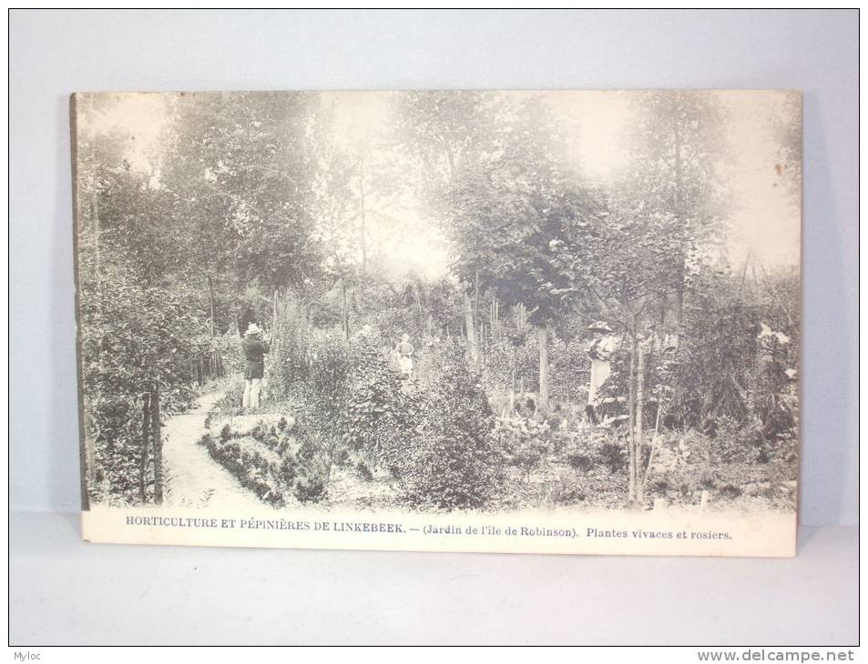 Linkebeek. Horticulture Et Pépinières De Linkebeek. Jardins De L'île De Robinson. Plantes Vivaces Et Rosiers. - Linkebeek