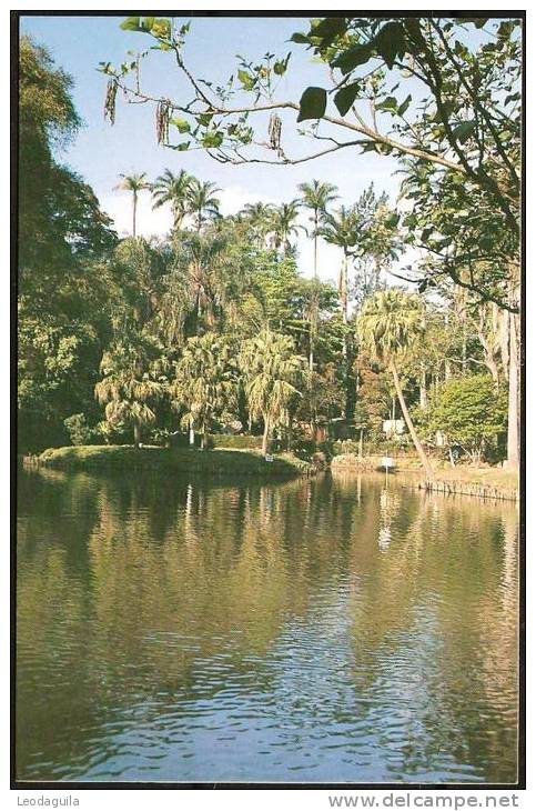 BRAZIL  -  CITY OF JUIZ DE FORA  -  4  POSTCARDS - Belo Horizonte