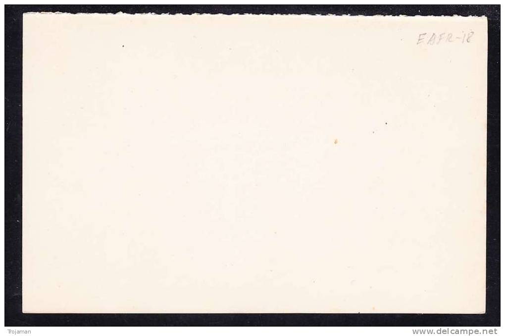 E-AFR-18 POST BLANK BRITISH SOUTH AFRICA COMPANY - Zimbabwe (1980-...)