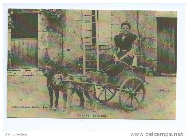 Loir Et Cher.Thenay  Le Courrier Par Voiture à Chien.reproduction. - Autres & Non Classés