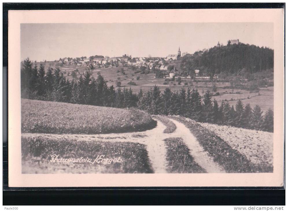 Frauenstein Im Erzgebirge - Blick Auf Die Stadt - Frauenstein (Erzgeb.)