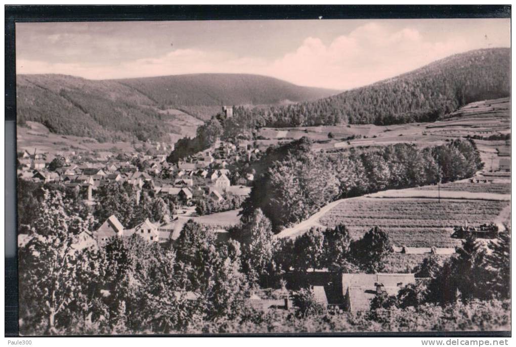 Steinbach-Hallenberg - Blick Vom Kirchberg Zur Hallenburg - Steinbach-Hallenberg