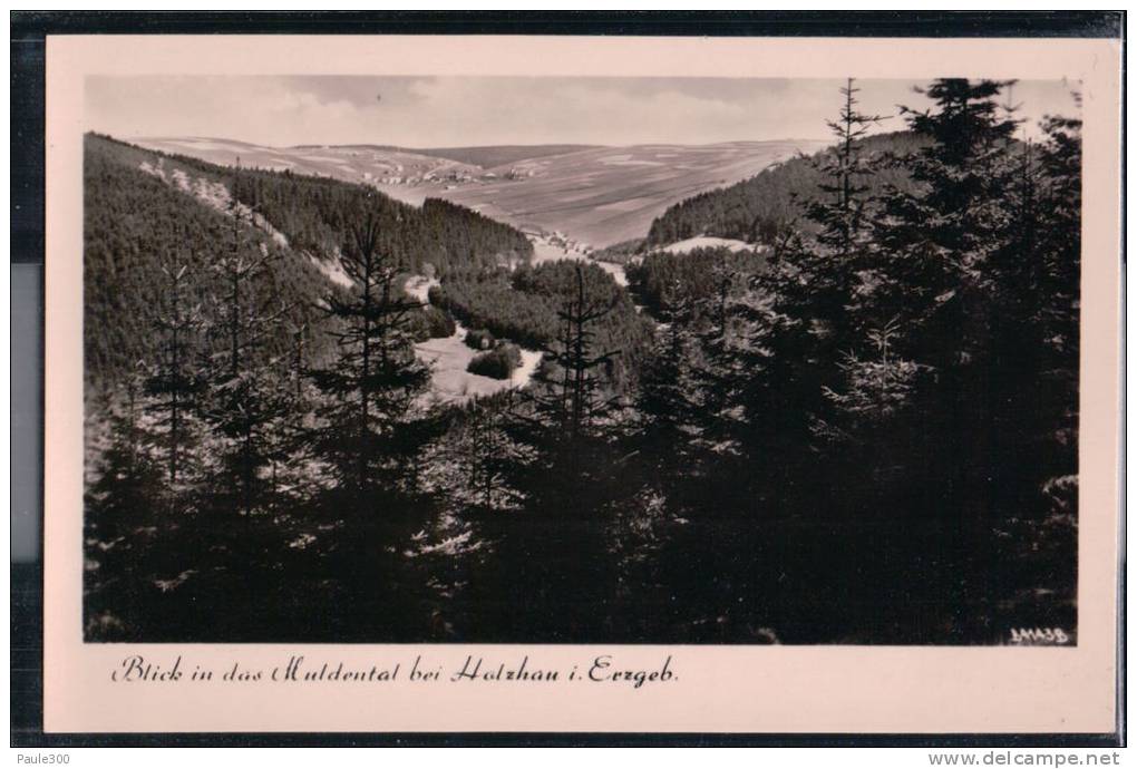 Holzau Im Erzgebirge - Blick In Das Muldental - Holzhau