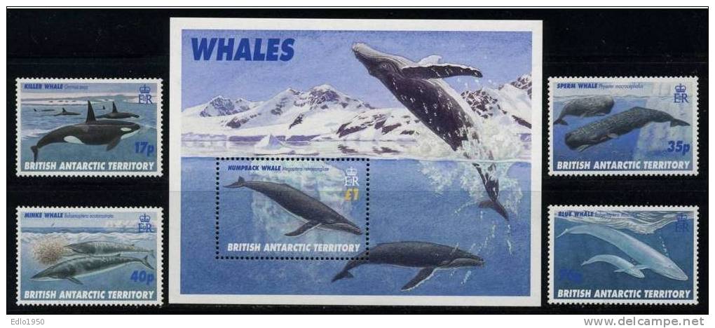 BAT British Antarctic Teritory 1996 Wale- Mi. 250-53+ Bl.4 - MNH (**) - Nuevos