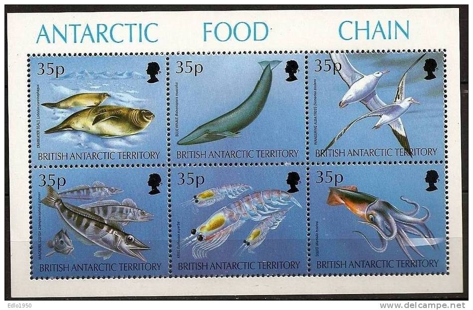 BAT British Antarctic Teritory 1994 Antarktic Food Chain Mi Block 2 - MNH (**) - Ongebruikt