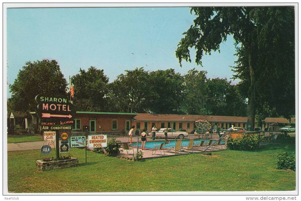 Niagara Falls : FORD THUNDERBIRD 'BULLIT BIRD' - The Sharon Motel, Swimming-pool  - Auto/Car - USA - Turismo