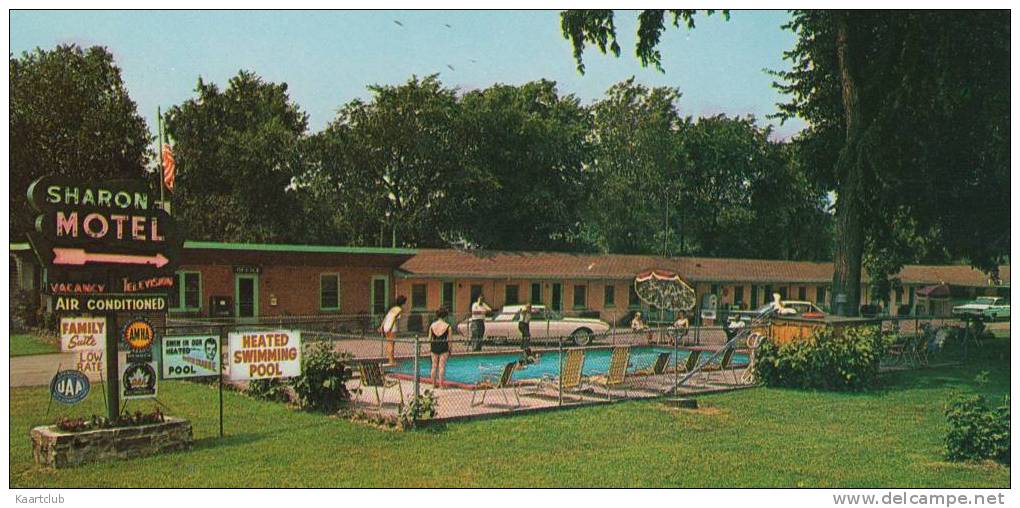 Niagara Falls : FORD THUNDERBIRD 'BULLIT BIRD' - The Sharon Motel, Swimming-pool  - Auto/Car - USA - Turismo