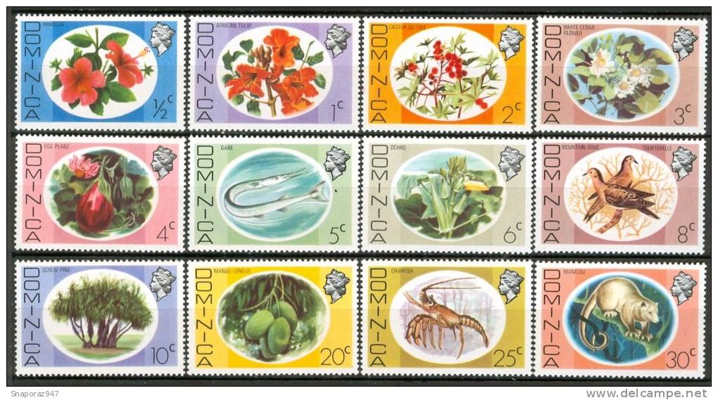 1975 Dominica Ordinaria Ordinary Set MNH** 2 Scans -No129 - Dominica (...-1978)