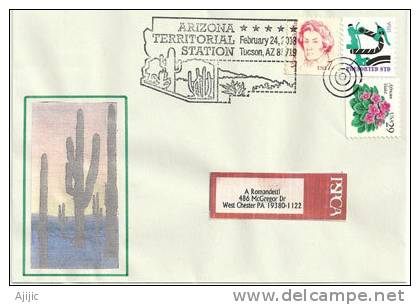 USA: Arizona Territorial Station. Tucson.  Une Enveloppe Souvenir Cactus - Cactusses