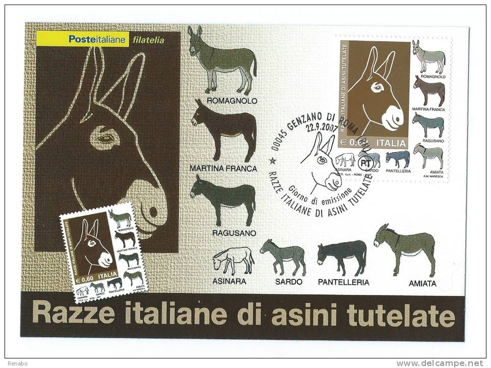 Razze Italiane Di Asini Tutelate ; Italia 2007 ; F. D. C. ; Annullo Asino ; Genzano Di Roma - FDC