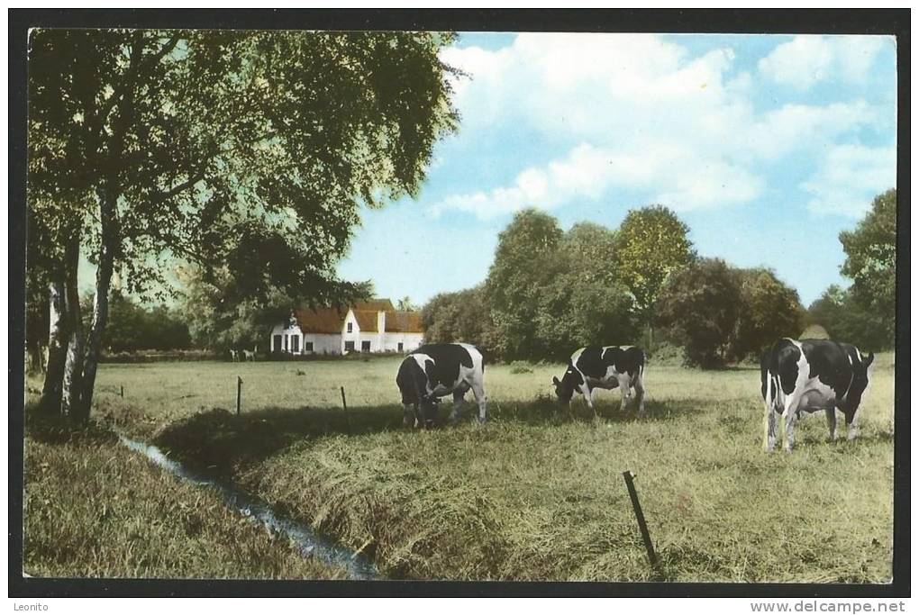 HEELSUM DE KAMP Gelderland Renkum 1973 - Renkum