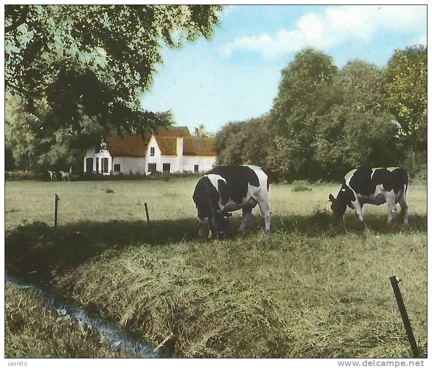 HEELSUM DE KAMP Gelderland Renkum 1973 - Renkum