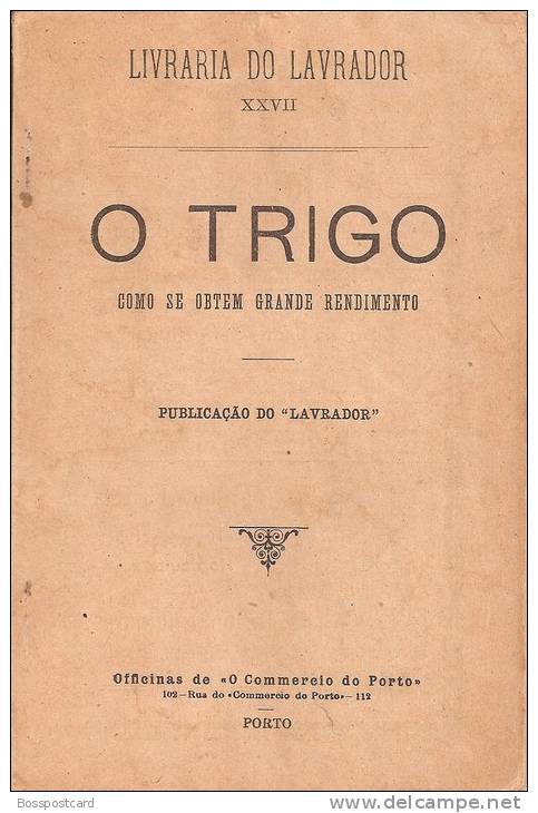 O Trigo - Publicação Do "Lavrador". Livraria Do Lavrador XXVII. Porto. Costumes. Agricultura (3 Scans) - Libri Vecchi E Da Collezione