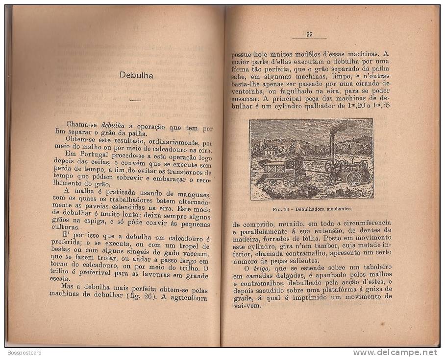 O Trigo - Publicação Do "Lavrador". Livraria Do Lavrador XXVII. Porto. Costumes. Agricultura (3 Scans) - Old Books