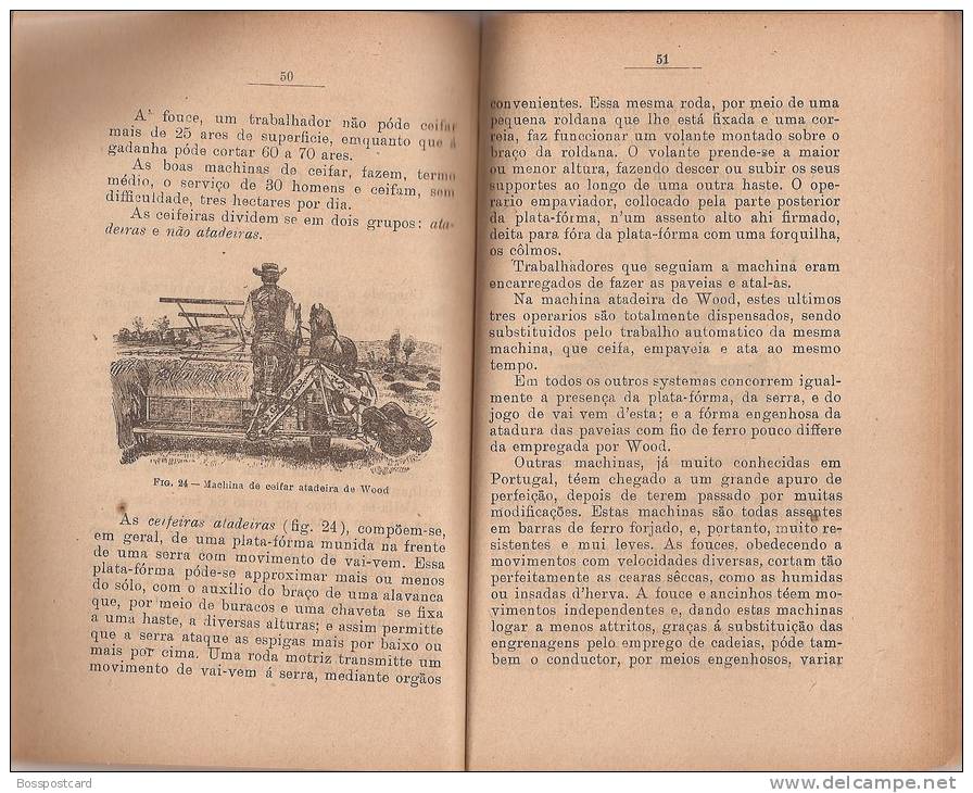 O Trigo - Publicação Do "Lavrador". Livraria Do Lavrador XXVII. Porto. Costumes. Agricultura (3 Scans) - Old Books