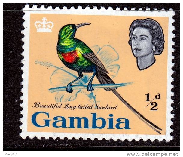 British Gambia 175  *  FAUNA  BIRDS - Gambia (...-1964)