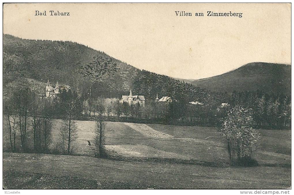 Allemagne -  BAD TABARZ  -  Villen Am Zimmerberg - Tabarz