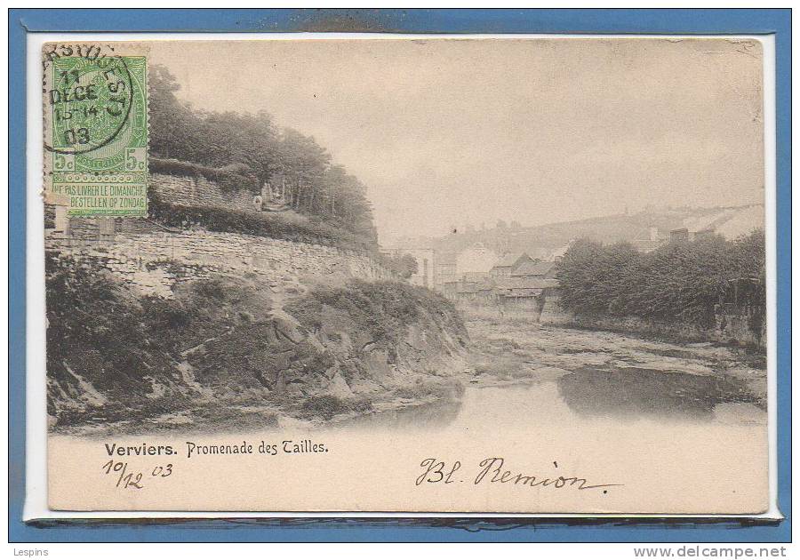 BELGIQUE --  VERVIERS -- Promenade Des Tailles - Verviers