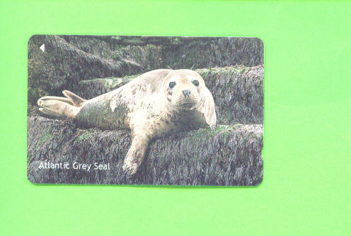 JERSEY - Magnetic Phonecard As Scan/Seal - [ 7] Jersey Und Guernsey