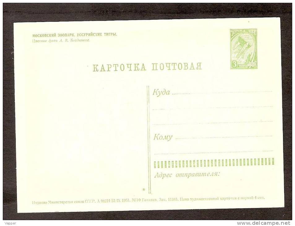 Animals USSR 1963 MNH Stationary Postcard Tiger In Moscow Zoo - Tiger