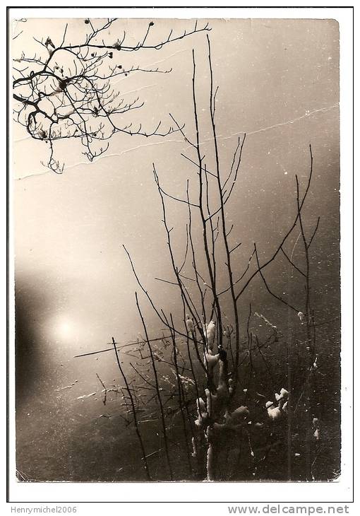 25 - Hiver Dans Le Haut Doubs - Carte Photo De Stainacre De Pontarlier - Pontarlier