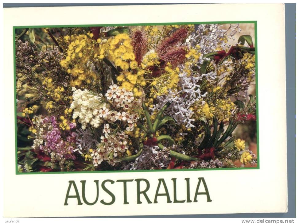 (106) Australia - Native Flowers - Outback