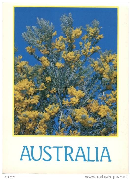 (106) Australia - Native Flowers - Outback