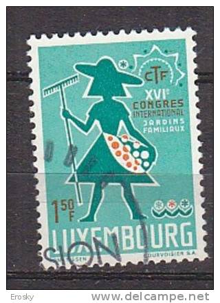 Q3968 - LUXEMBOURG Yv N°707 - Used Stamps