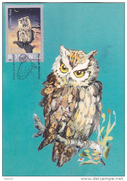 OIES, OWL, CM, MAXICARD, 2008, ROMANIA - Oies