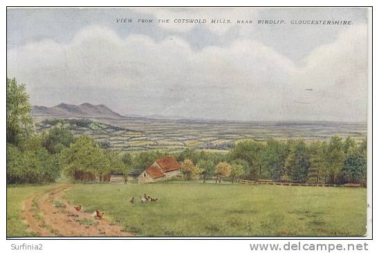 GLOS - VIEW FROM THE COTSWOLD HILLS NEAR BIRDLIP By V A Wright - Other & Unclassified