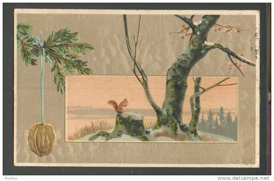IMPERIAL  RUSSIA  ESTONIA  , 1908 , FELLIN  VALK , PENALTY  POSTAGE DUE  , OLD POSTCARD  CHRISTMAS EMBOSSED  SQUIRREL ,O - Storia Postale