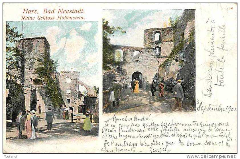 Avr13 235 : Harz  -  Bad Neustadt  -  Ruine Schloss Hohenstein - Neustadt Waldnaab