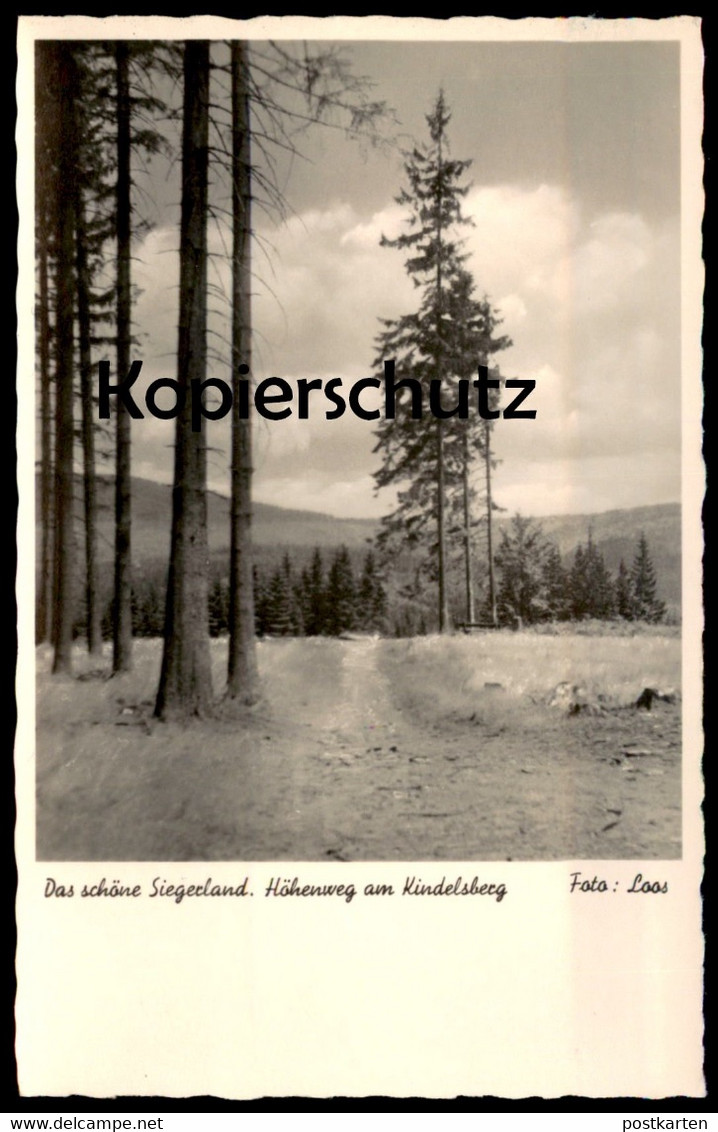 ALTE POSTKARTE DAS SCHÖNE SIEGERLAND HÖHENWEG AM KINDELSBERG Bei Kreuztal Foto Loos Cpa Postcard AK Ansichtskarte - Kreuztal