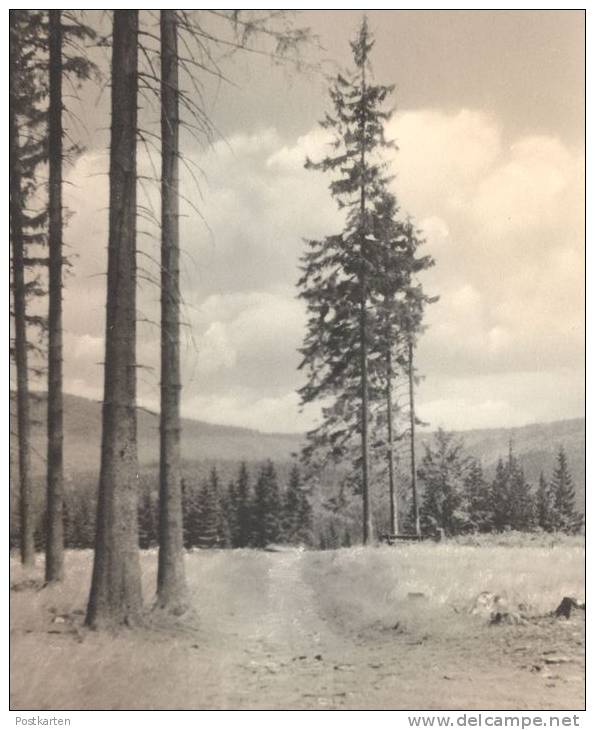 ALTE POSTKARTE DAS SCHÖNE SIEGERLAND HÖHENWEG AM KINDELSBERG Bei Kreuztal Foto Loos Cpa Postcard AK Ansichtskarte - Kreuztal